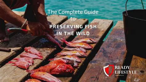 The Transformative Powers of Preserved Fish